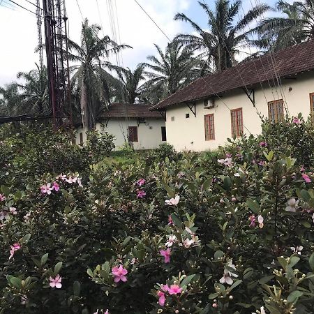 Hotel Palm Garden House Quang Tri Zewnętrze zdjęcie