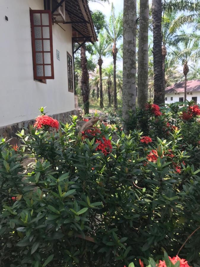 Hotel Palm Garden House Quang Tri Zewnętrze zdjęcie