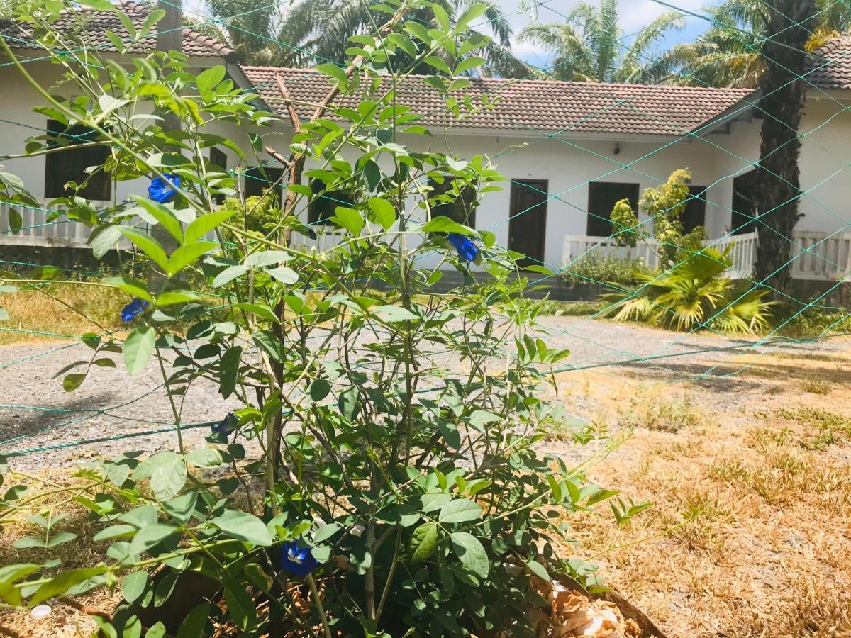 Hotel Palm Garden House Quang Tri Zewnętrze zdjęcie
