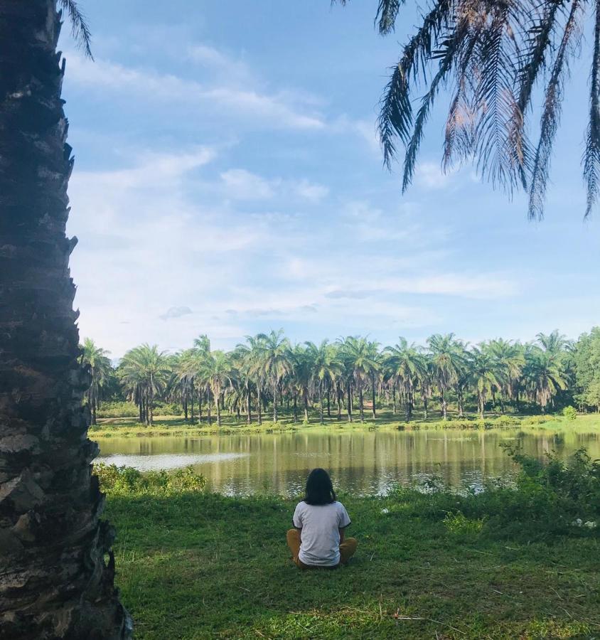 Hotel Palm Garden House Quang Tri Zewnętrze zdjęcie
