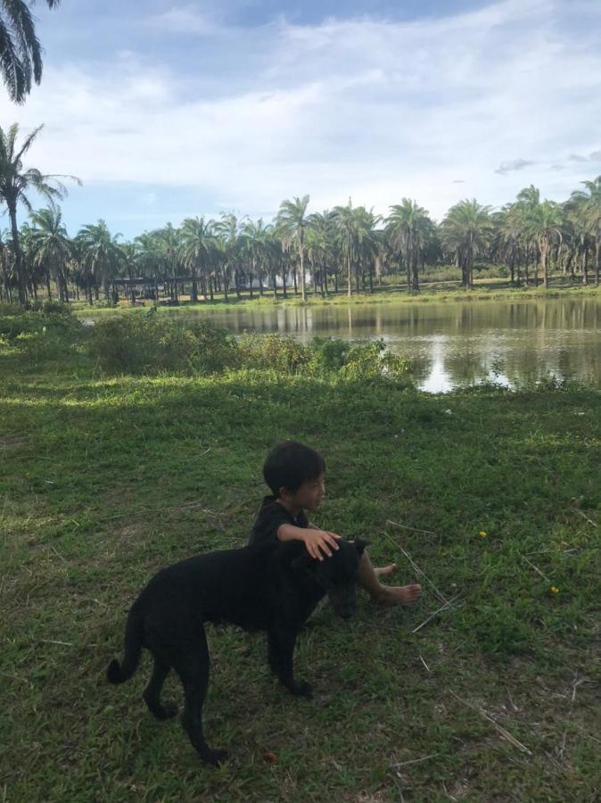 Hotel Palm Garden House Quang Tri Zewnętrze zdjęcie