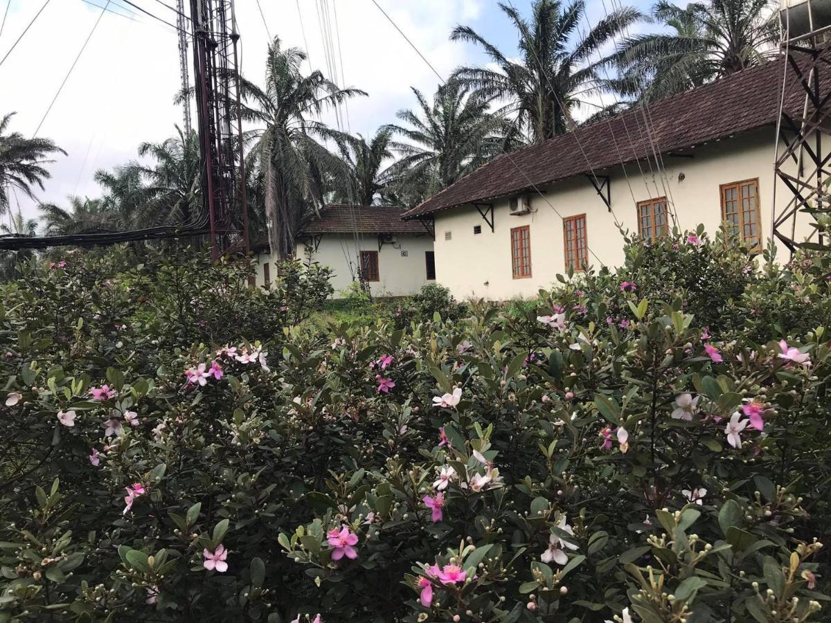 Hotel Palm Garden House Quang Tri Zewnętrze zdjęcie