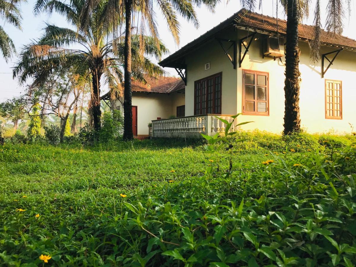Hotel Palm Garden House Quang Tri Zewnętrze zdjęcie
